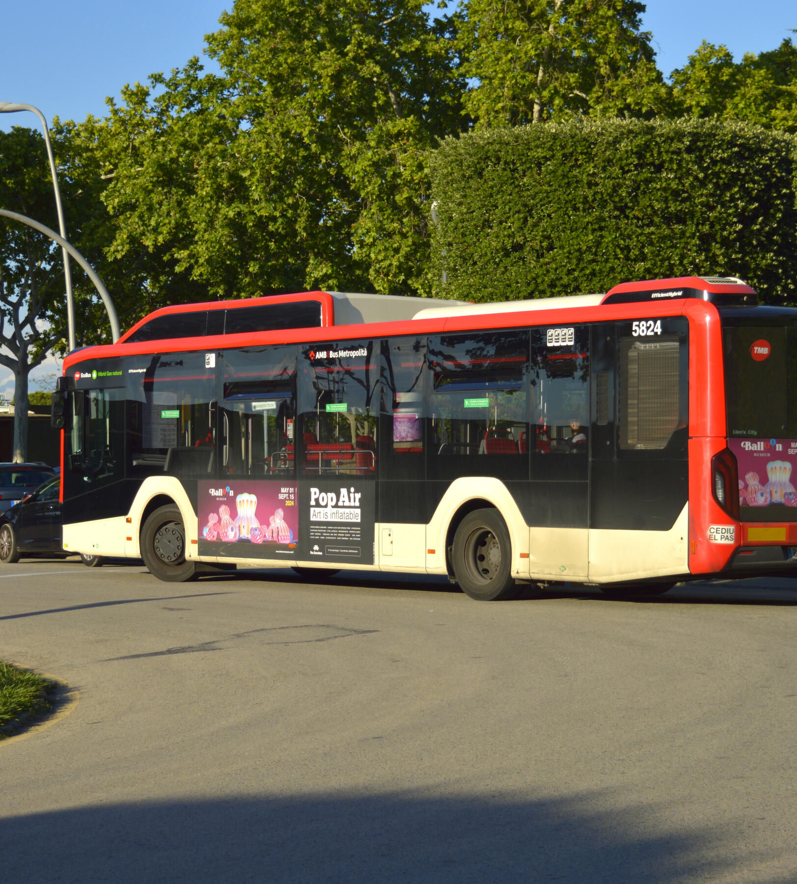 Imagen ilustrativa de Autobús. (TMB)