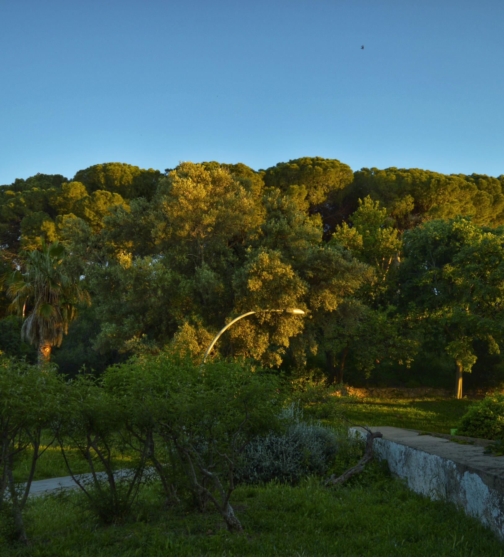 Jardín Joan Brossa, en Montjuic.